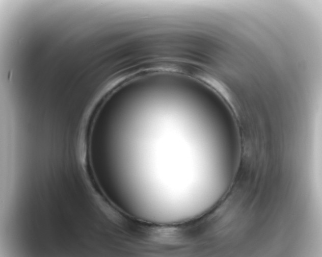 X0000089431131200706221206