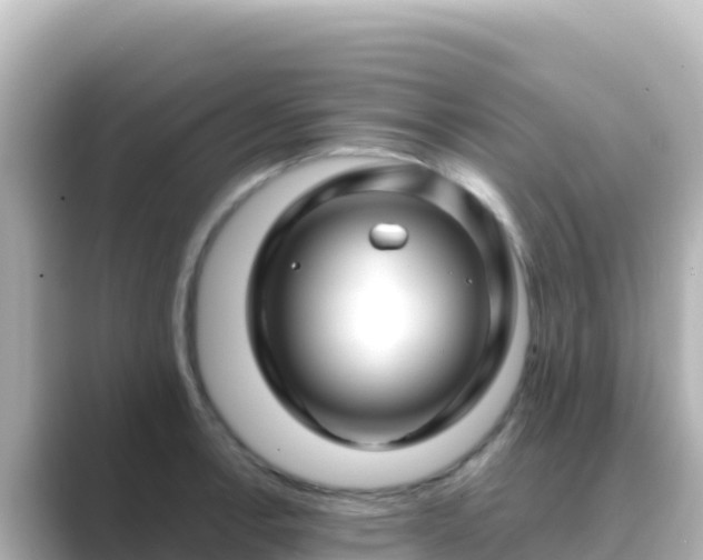 X0000089431138200706221206