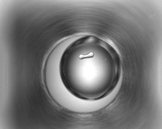 X0000089431140200706221206
