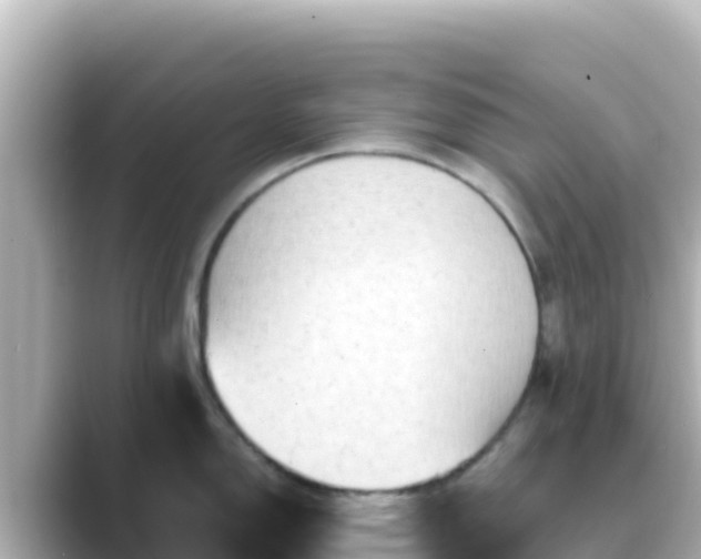X0000089431150200706221207