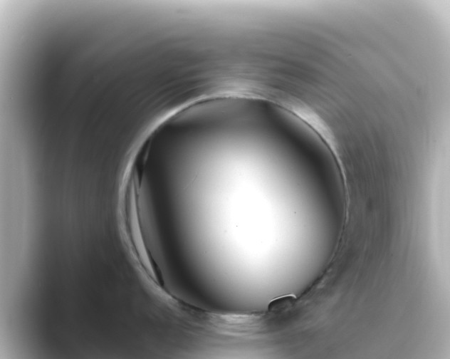 X0000089431152200706221207