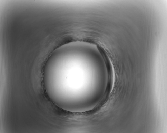 X0000089431153200706221206