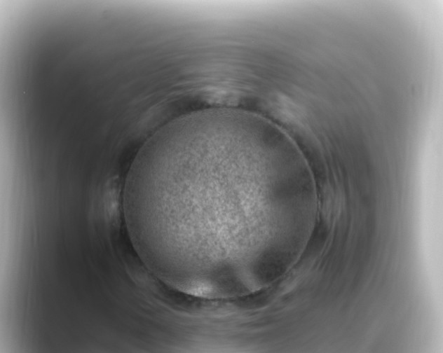 X0000089431154200706221206