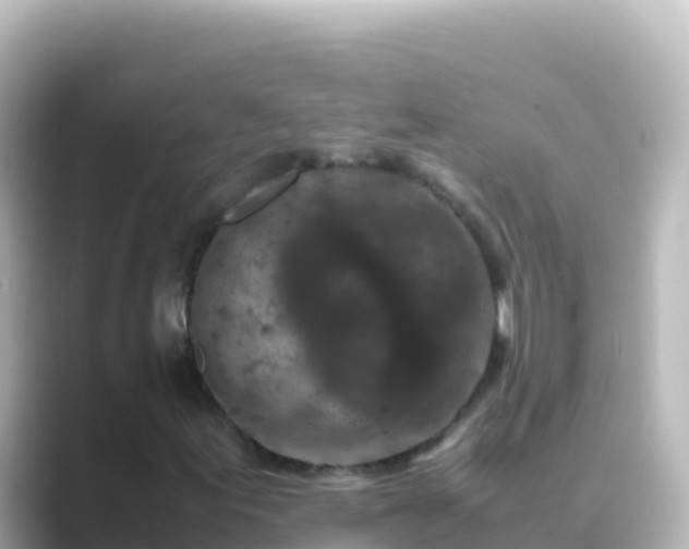 X0000089431155200706221206