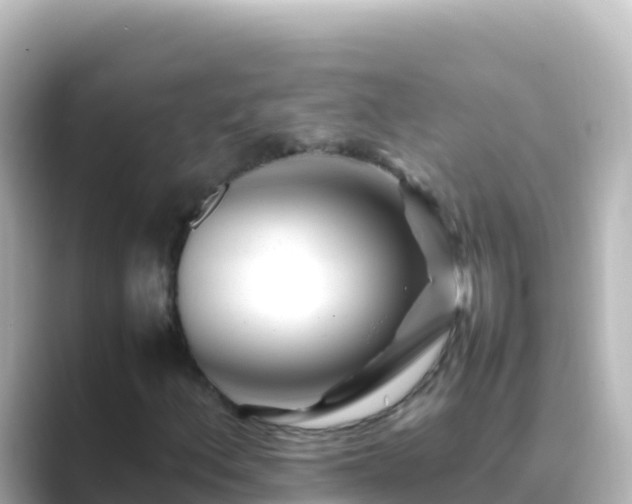 X0000089431156200706221206