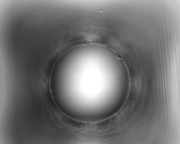 X0000089431158200706221206