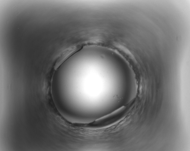 X0000089431160200706221206