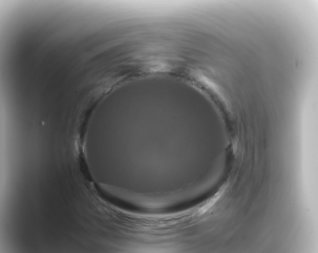 X0000089431161200706221206