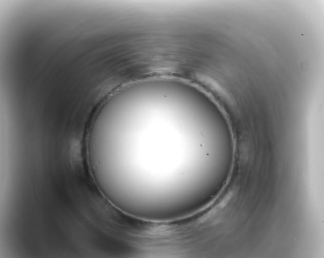 X0000089431162200706221206
