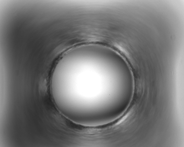 X0000089431163200706221206
