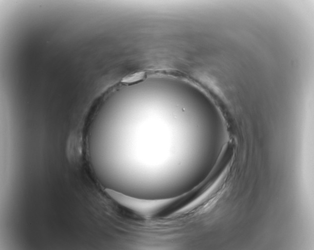 X0000089431165200706221206