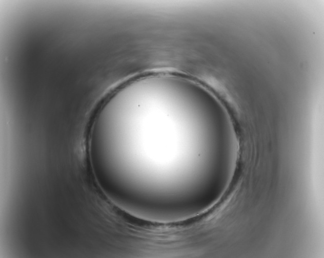 X0000089431167200706221206