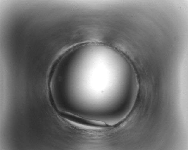 X0000089431168200706221206