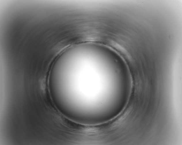 X0000089431170200706221206