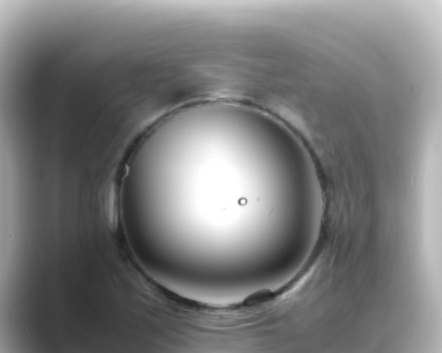 X0000089431171200706221206