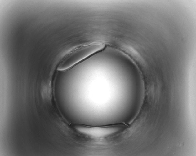 X0000089431172200706221206