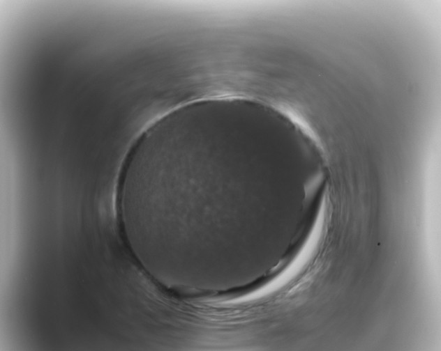 X0000089431173200706221206