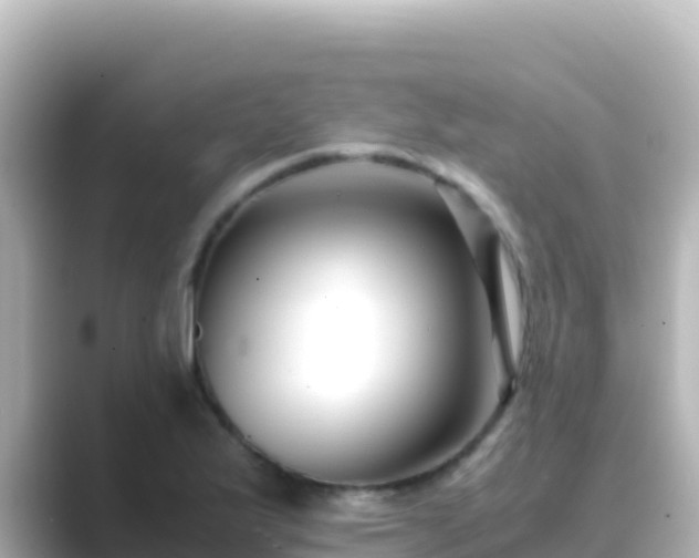 X0000089431175200706221206