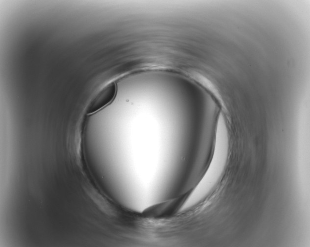 X0000089431179200706221206