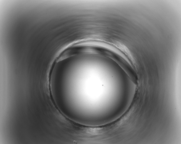 X0000089431184200706221206