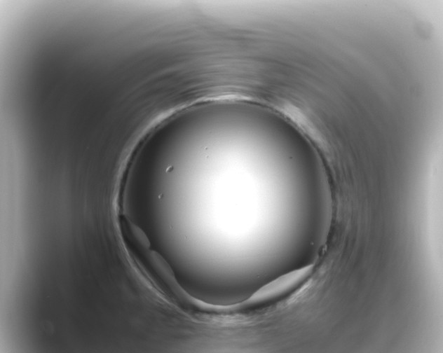 X0000089431189200706221206
