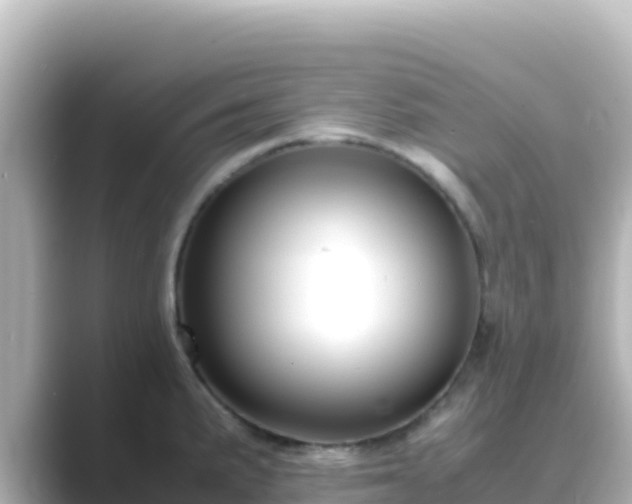 X0000089431191200706221206