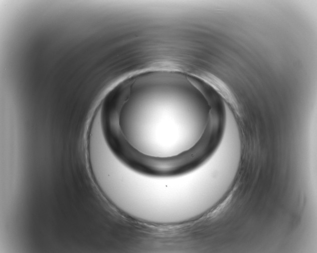 X0000089431192200706221206