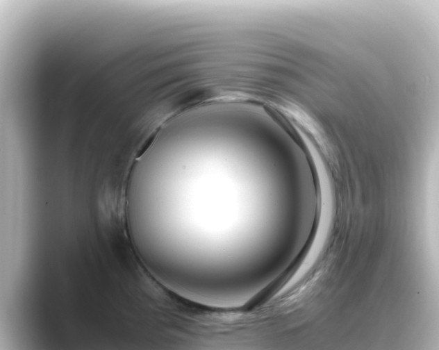 X0000089431193200706221206