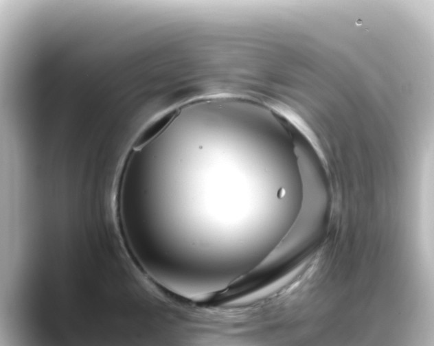 X0000089431197200706221205