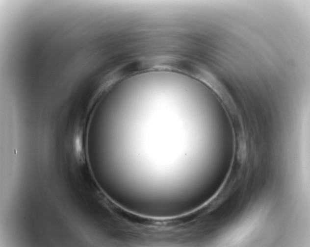 X0000089431198200706221205