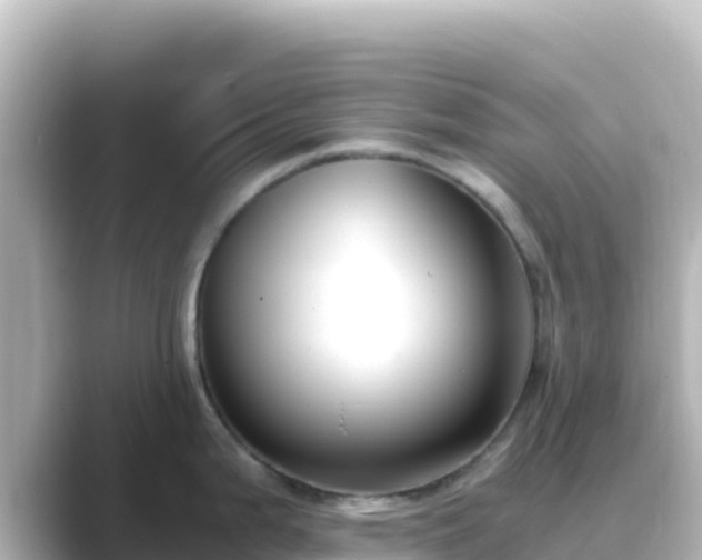 X0000089431199200706221205