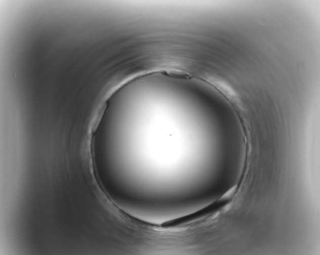 X0000089431200200706221205