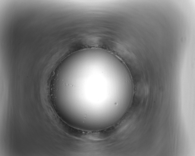 X0000089431201200706221205
