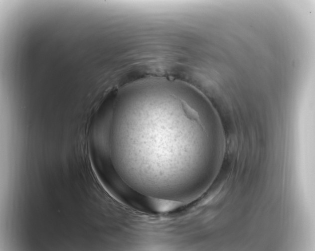 X0000089431202200706221205