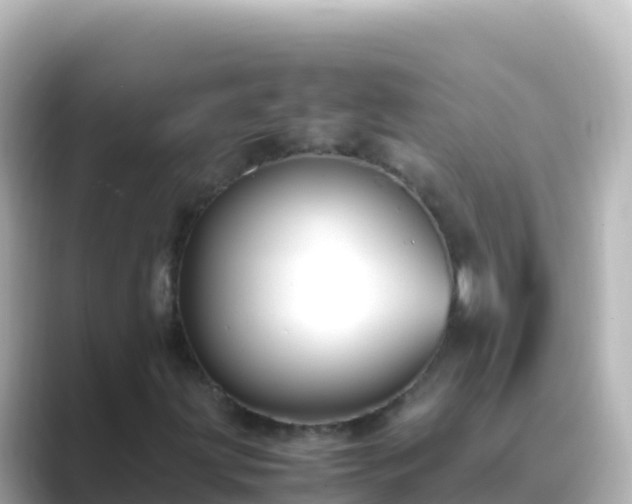 X0000089431203200706221205