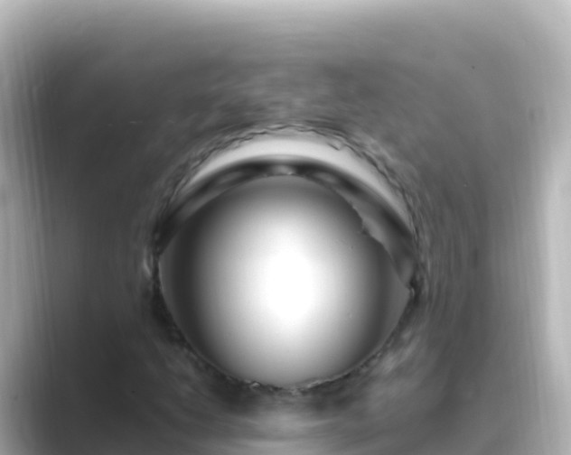 X0000089431206200706221205