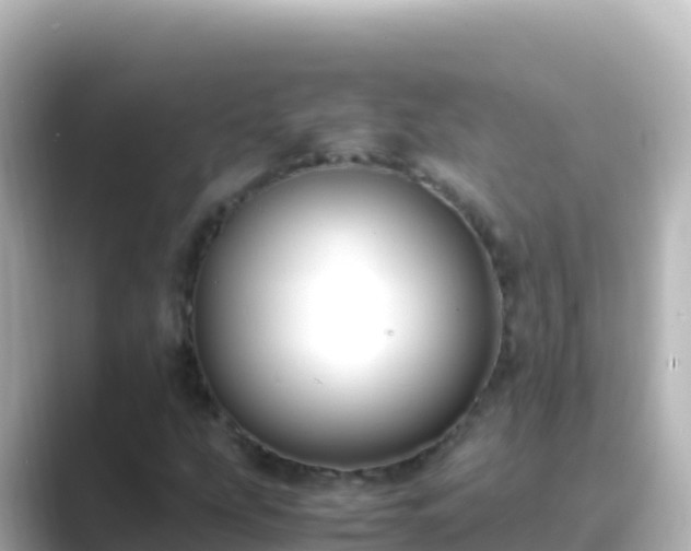 X0000089431207200706221205