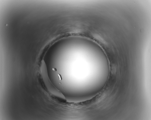 X0000089431208200706221205