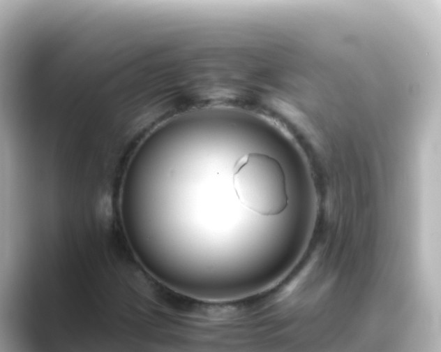 X0000089431209200706221205