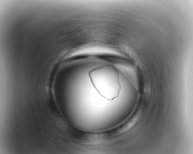 X0000089431210200706221205