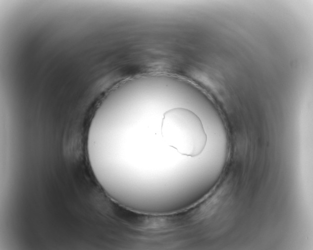 X0000089431211200706221205