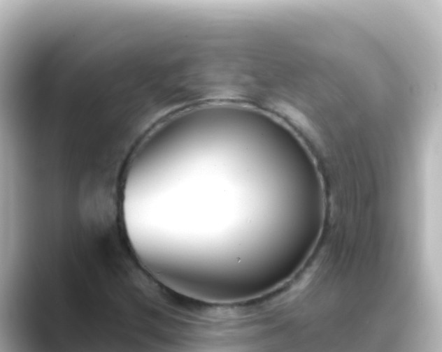 X0000089431212200706221205