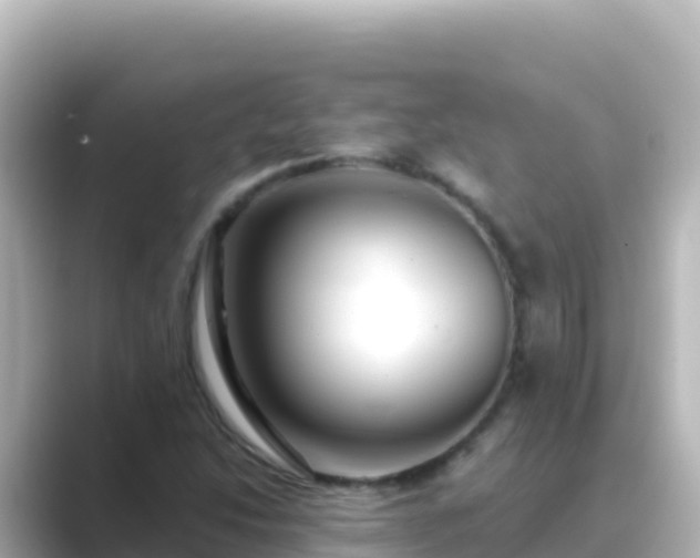 X0000089431214200706221205