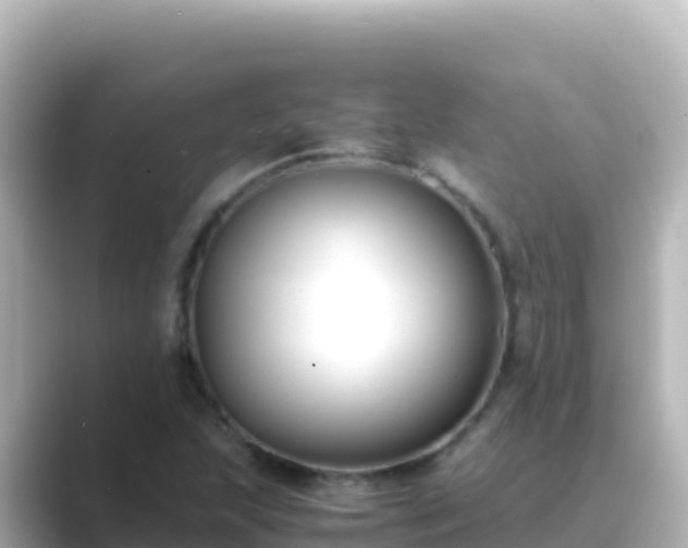 X0000089431215200706221205