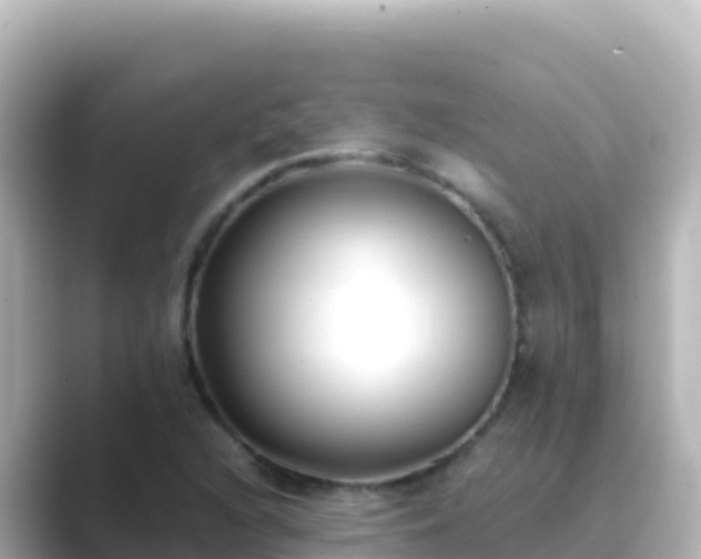 X0000089431216200706221205