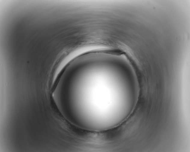 X0000089431218200706221205