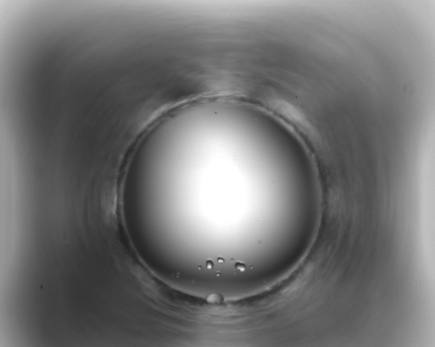 X0000089431220200706221205