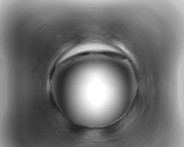 X0000089431221200706221205