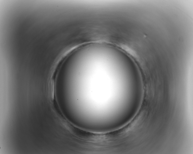 X0000089431223200706221205