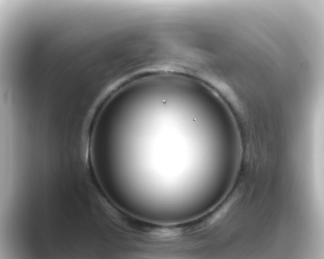 X0000089431224200706221205